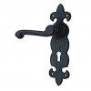 "Zadok" Black Iron Door Handle with Plate 